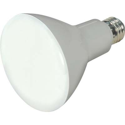 DIMMABLE 65W,120VAC/ 2 PK