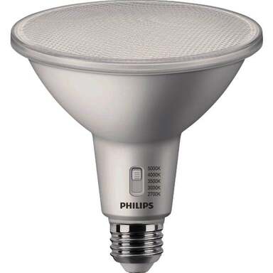 2PK PAR3890W5CCT LEDBULB