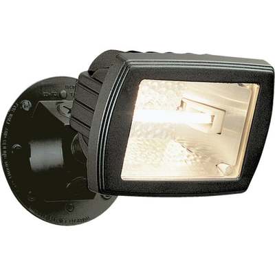 150W HALOGEN FLOOD LT BR