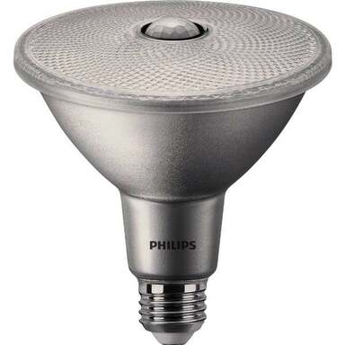 PAR38120W SW MTN LEDBULB