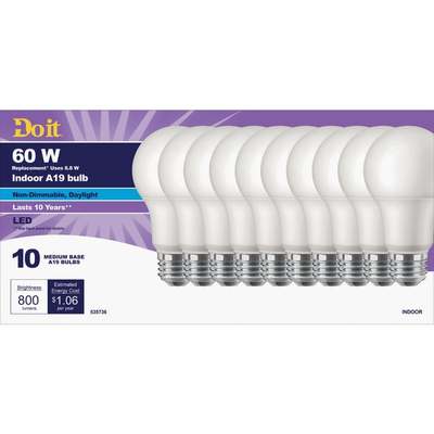 10PK 60W A19 T20LED BULB