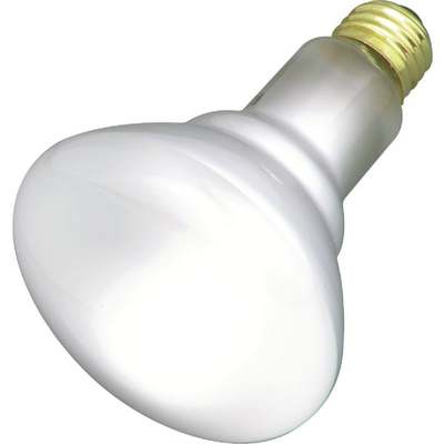 50W REFLECTOR FLOOD BULB