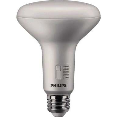 3PK BR3065W 5CCT LEDBULB