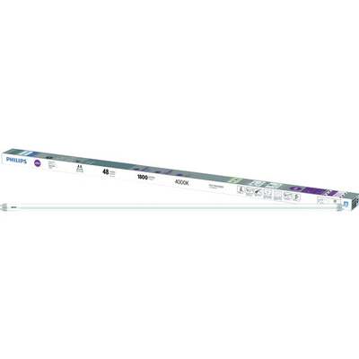 32w 4' T8 LED B-PSS CW 2pk