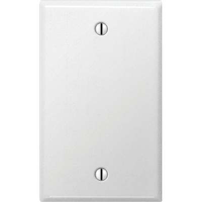 1G Blank Plate Steel White