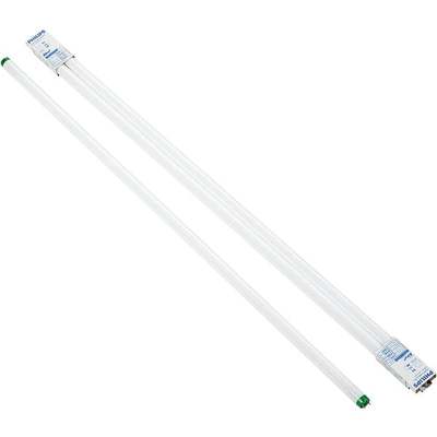 2pk F32T8 5000K Fluorescent
