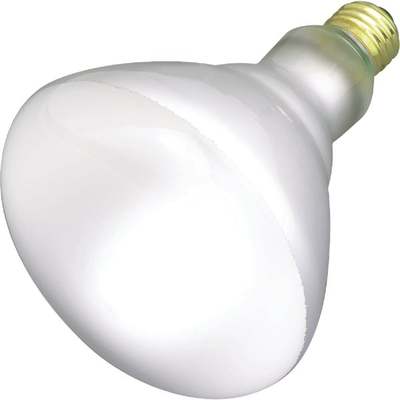 65W REFLECTOR FLOOD BULB