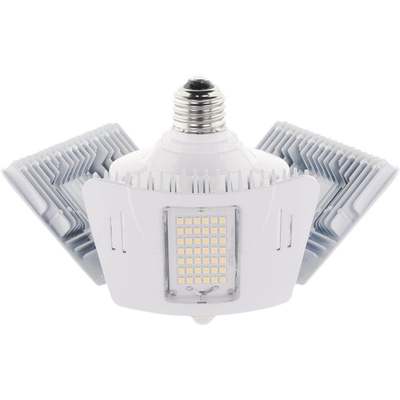 60W MTN LED UTLITY BULB