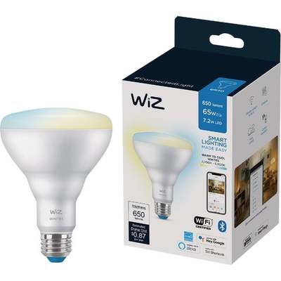 65W BR30 LED SMART BULB