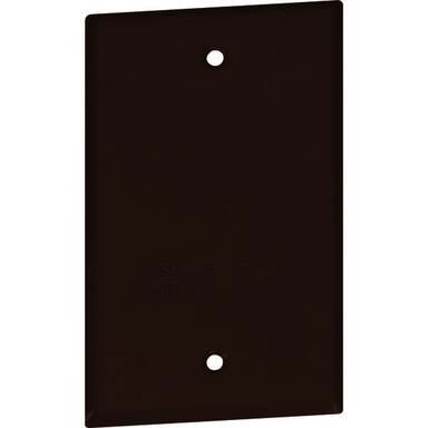 1G BRZ WP BLANK COVER