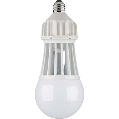 3000LM LED BIG BULB