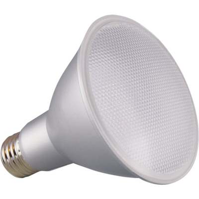 12.5WPAR30 50KLNLED BULB