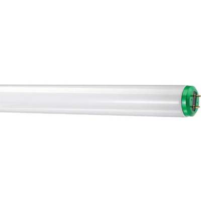 2PK 40W BWT12 FLUOR TUBE