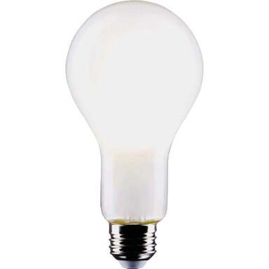 21W A21 LED FROSTED BULB