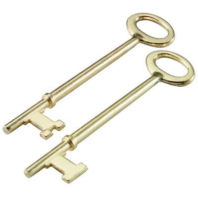 2PK SKELETON KEY