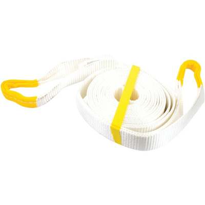 Erickson 2 In. x 20 Ft. 9000 Lb. Polyester Recovery Tow Strap, White