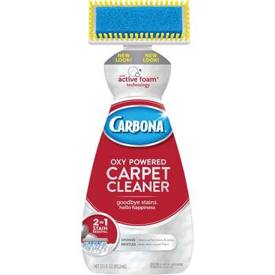 2 IN 1 CARPET CLEANER