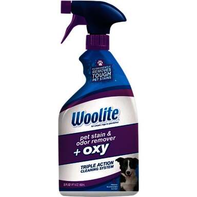 22OZ CARPET ODOR CLEANER