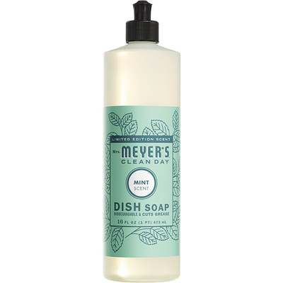 16OZ MINT DISH SOAP
