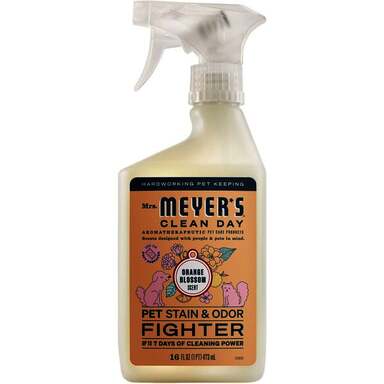 ORNG PET STAIN CRPT CLNR