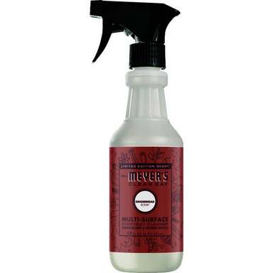 16OZ GINGRBRD CLEANE-
