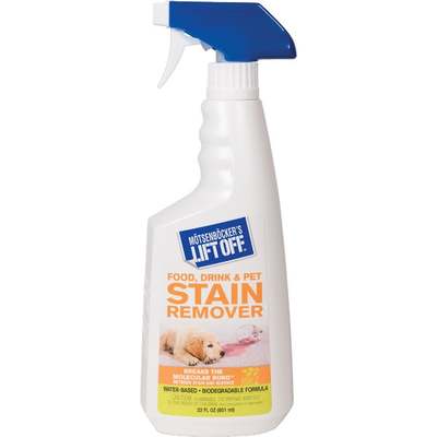 22OZ STAIN REMOVER