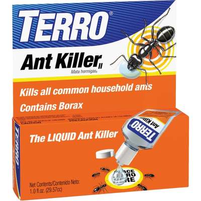 KILLER ANT TERRO