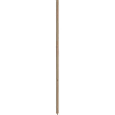 4' Wood Plant Stake