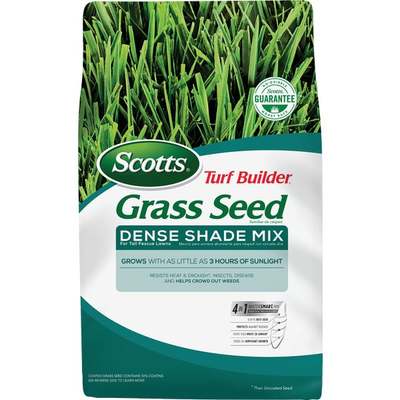 7LB TB TALL FESCUE SHADE