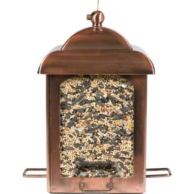 ANTQ COPR LANTERN FEEDER