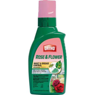 32OZ INSECT DISEASE CNTL