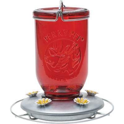 MASON JAR HUMMINGBD FDR
