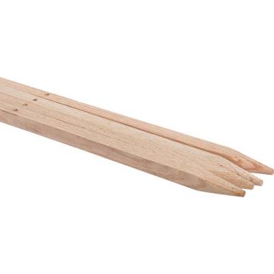 STAKE GARDEN OAK 18"