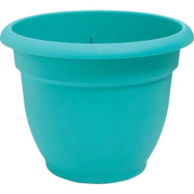 6" BRM TEAL ARIANA POT