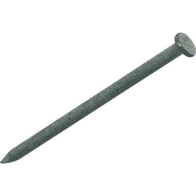 5LB HG 16D COMMON NAIL