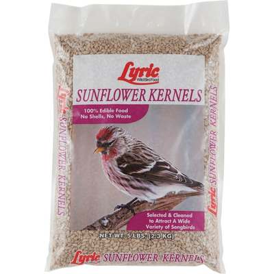 5LB LYRIC SUNFLOWER HEARTS