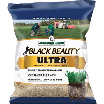 1LB BLK BEAUTY ULT SEED