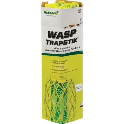TRAPSTIK FOR WASPS