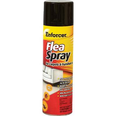 14OZ CARPET FLEA SPRAY