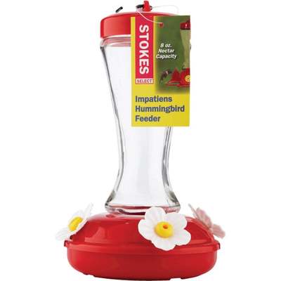 IMPATIENS GLASS FEEDER