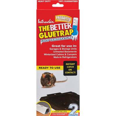 RAT GLUE TRAY 2 PK