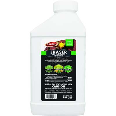 Eraser 16oz