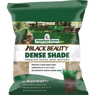 7LB DENSE SHADE SEED