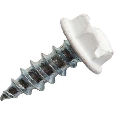 SCREW ZIP 8X1/2 WHITE 100CT