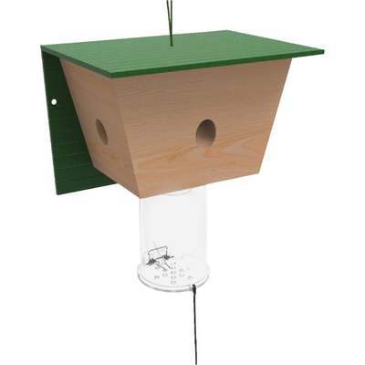 CARPENTER BEE TRAP