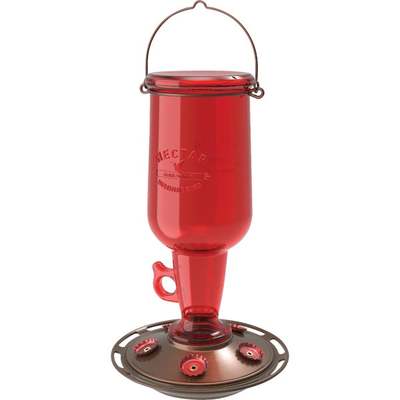 JUG HUMMINGBIRD FEEDER