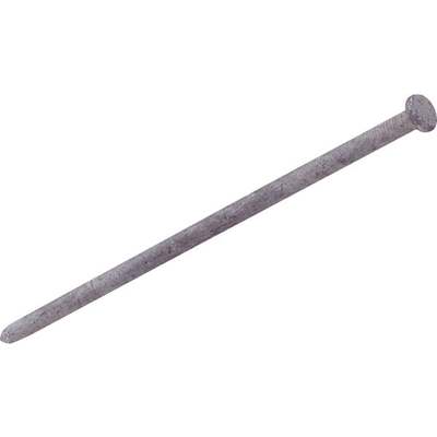 3/8"X8" GALV LANDSCAPE SPIKE 1#