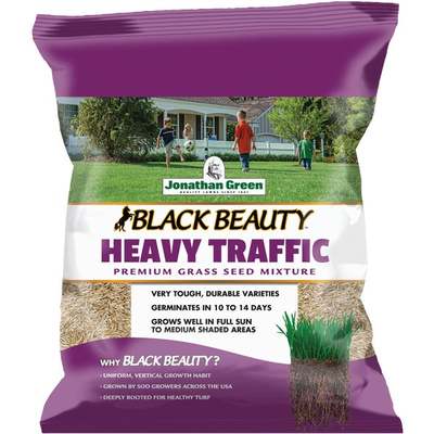 3LB HEAVY TRAFFIC SEED