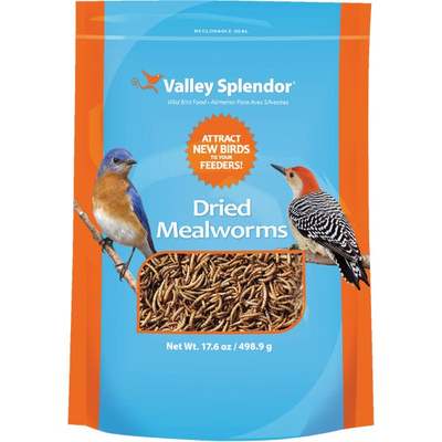 17.6 OZ. DRIED MEALWORMS