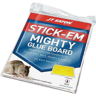 MOUSE GLUE TRAY 2 PK